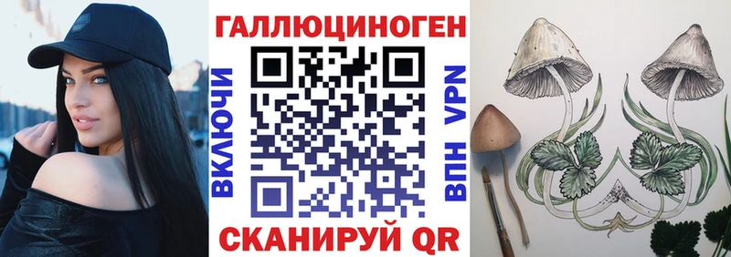 Галлюциногенные грибы Psilocybe  купить наркоту  Горнозаводск 